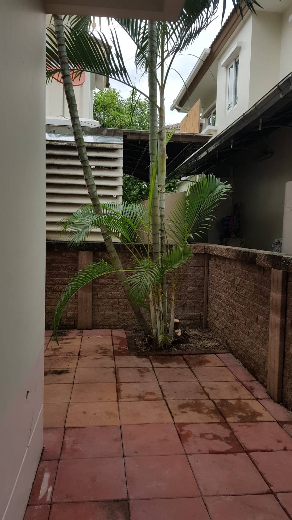 Family-Friendly Detached house for rent in Casa Ville Ratchaphruek-Rattanathibet 2 6