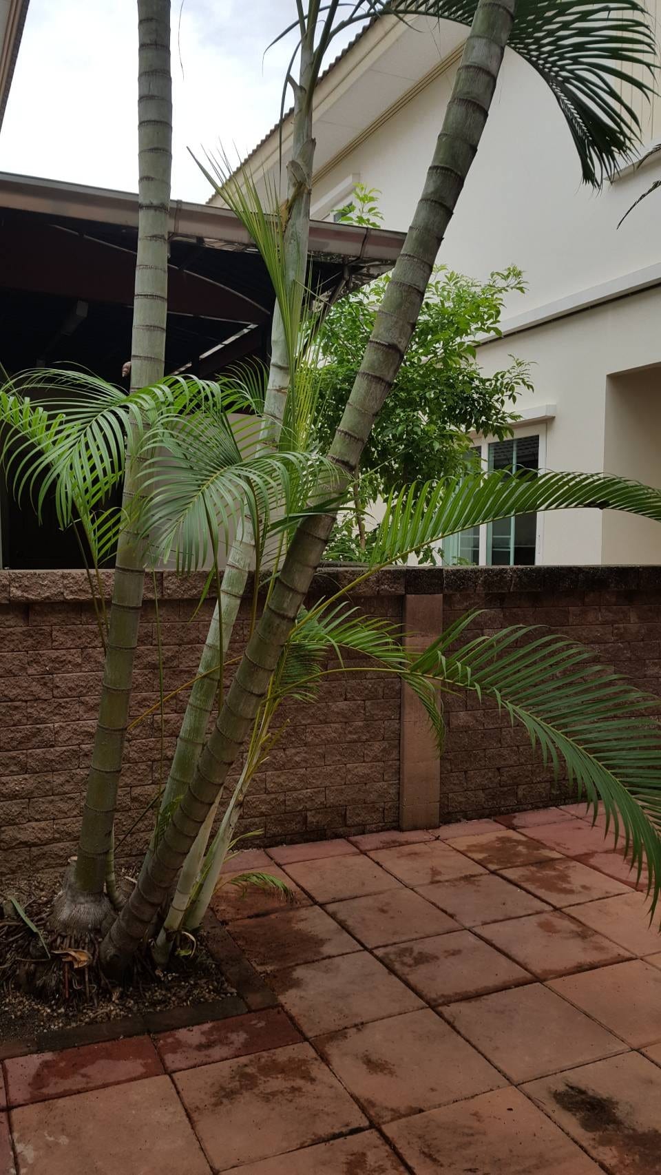 Family-Friendly Detached house for rent in Casa Ville Ratchaphruek-Rattanathibet 2 8