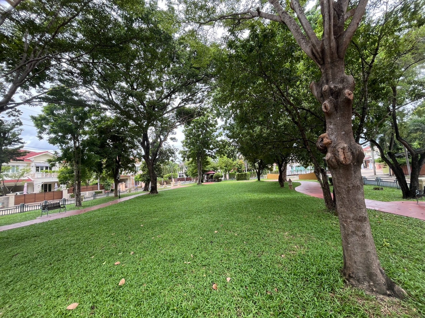 Family-Friendly Detached house for rent in Casa Ville Ratchaphruek-Rattanathibet 2 51