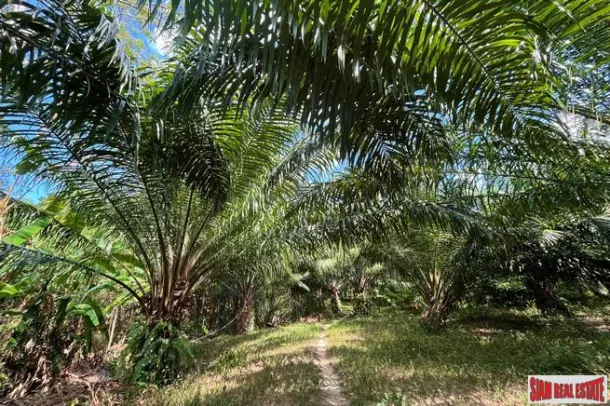 Over 1 Rai of paradise seaview land nearby yatch heaven for sale in Takuatung, Phangnga 3