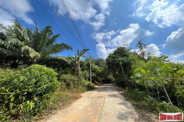 Over 1 Rai of paradise seaview land nearby yatch heaven for sale in Takuatung, Phangnga 2