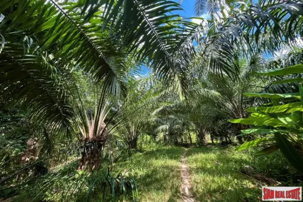 Over 1 Rai of paradise seaview land nearby yatch heaven for sale in Takuatung, Phangnga 4
