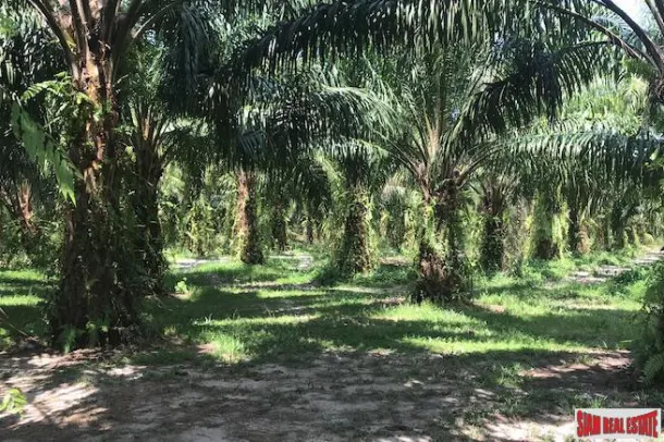Land for sale in Phang Nga — Land · Phang Nga