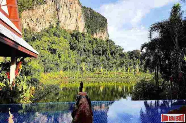 Private Peaceful Three Bedroom Pool Villa with Spectacular Karst Mountain Views in Ao Nang 4