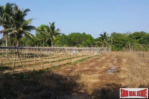 Land for sale in Mai Khao — Land · Mai Khao