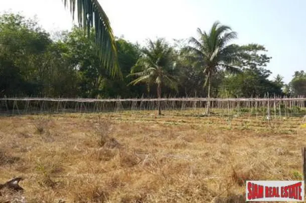 8+ Rai Good, Flat Land in Mai Khao 4