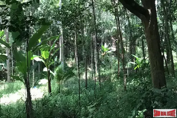 Investment Land with Spectacular Phang Nga Bay Views in Takua Thung 4