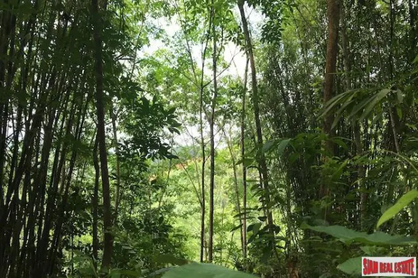 Investment Land with Spectacular Phang Nga Bay Views in Takua Thung 2