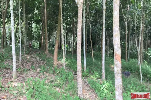 Investment Land with Spectacular Phang Nga Bay Views in Takua Thung 3