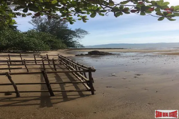 Spectacular Beachfront and Sea View Land Plot in Phang Nga Bay 2