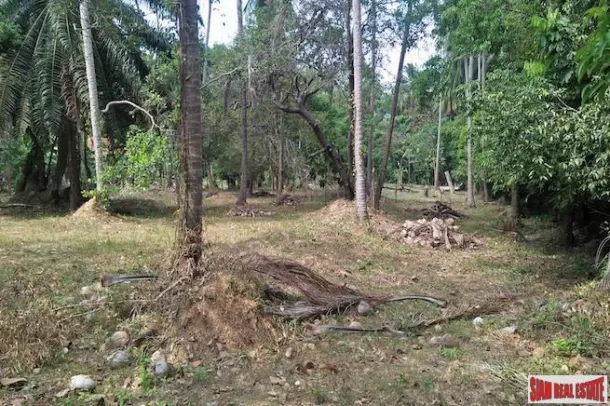 Breathtaking Phang Nga Bay Views from this Large Flat Land Plot in Koh Yao Noi 3