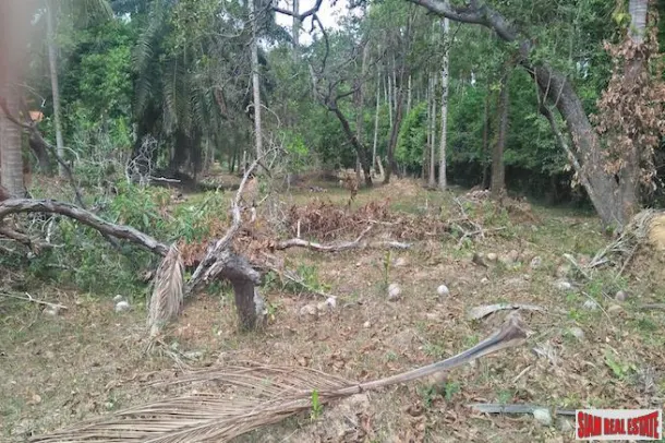 Breathtaking Phang Nga Bay Views from this Large Flat Land Plot in Koh Yao Noi 4