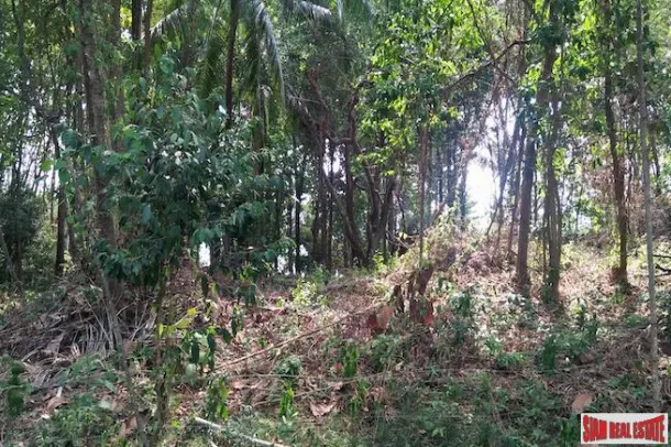 Breathtaking Phang Nga Bay Views from this Large Flat Land Plot in Koh Yao Noi 2