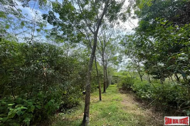 10 Rai of flat land close to Thai Mueang Beach only 5 mins for sale in Phangnga 2