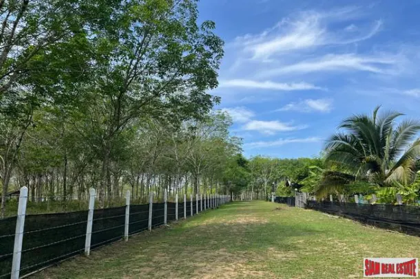 Land for sale in Phang Nga — Land · Phang Nga