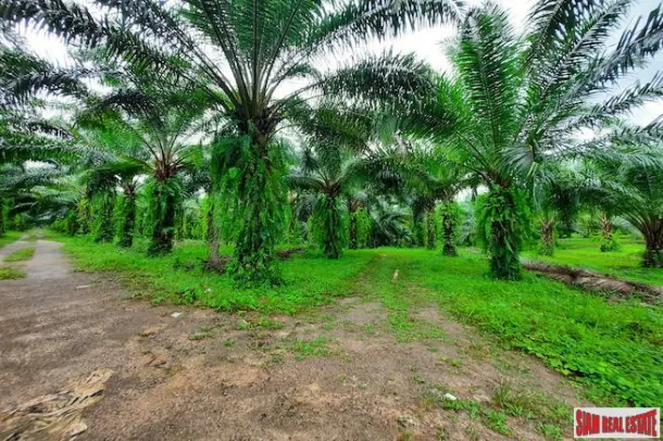 Land for sale in Ao Luek — Land · Ao Luek