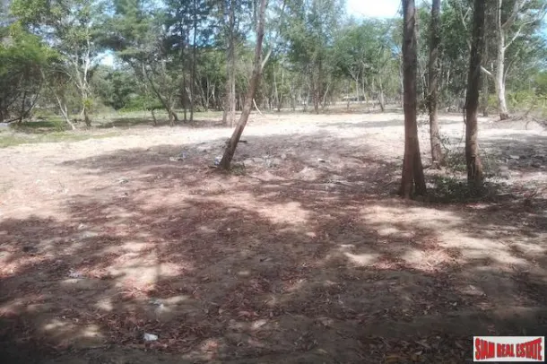 Flat 19 Rai Land Plot for Sale only 250 m. from the Golden Sands of Mai Khao Beach 4