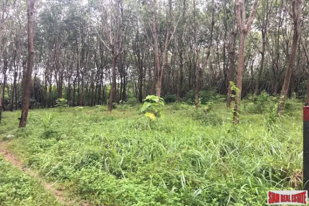 One Rai Land with a Rubber Plantation for Sale Close to Amenities in Sai Thai, Krabi 4