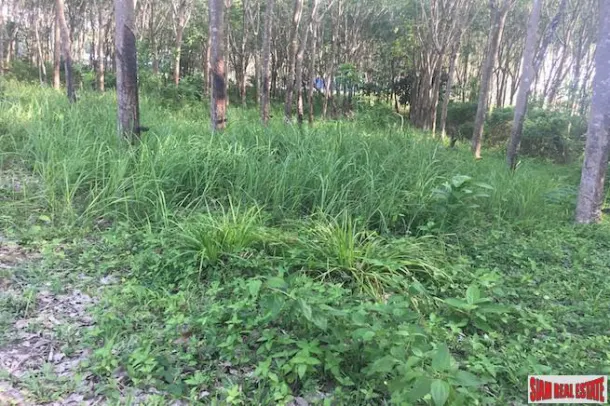 One Rai Land with a Rubber Plantation for Sale Close to Amenities in Sai Thai, Krabi 3