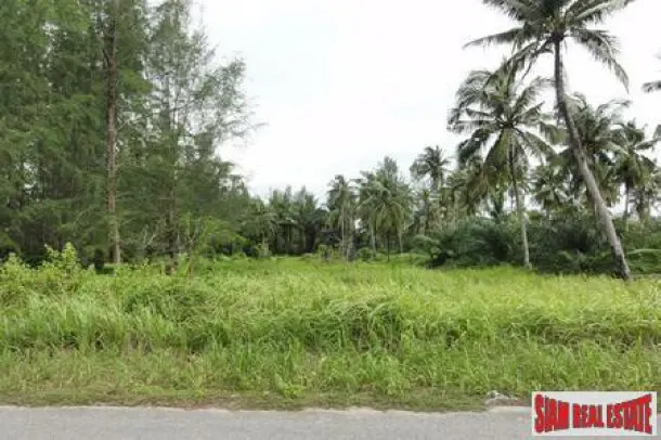 Plots of Land for Sale in Khao Lak with Road Access of Tarmac 2