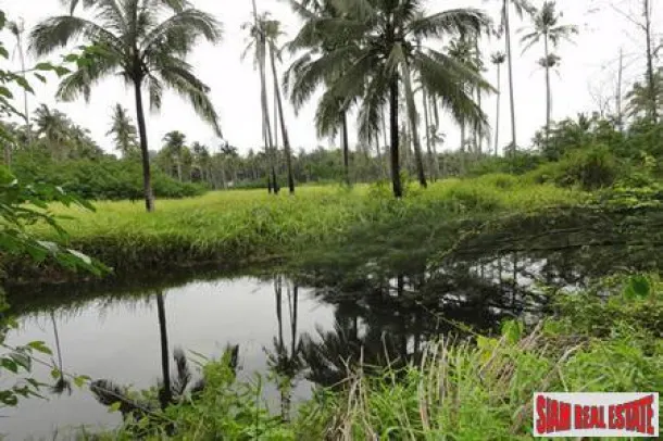 Plots of Land for Sale in Khao Lak with Road Access of Tarmac 3