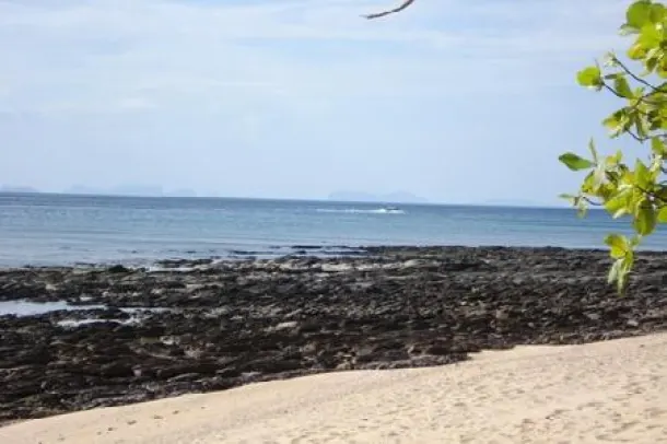 A 20 Rai Beachfront and Sea View Land Plot for Sale, Koh Lanta Krabi 2