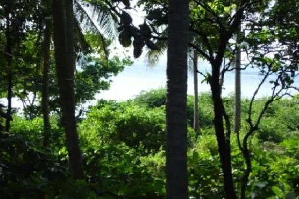 A 20 Rai Beachfront and Sea View Land Plot for Sale, Koh Lanta Krabi 4