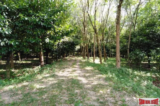 Land for sale in Phang Nga — Land · Phang Nga