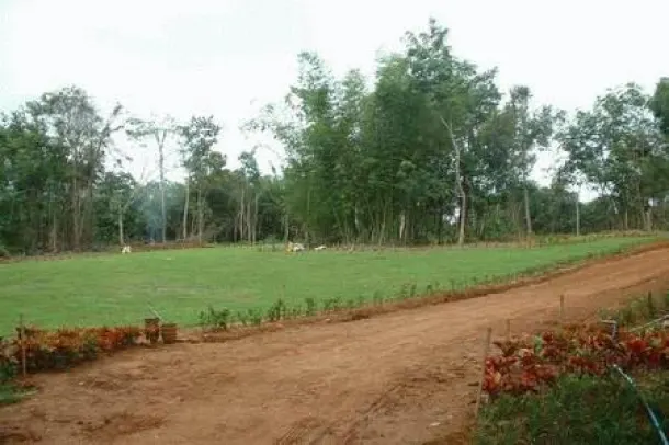 Fire Sale of 45 Rai Land Plot Just North of Khao Lak 2