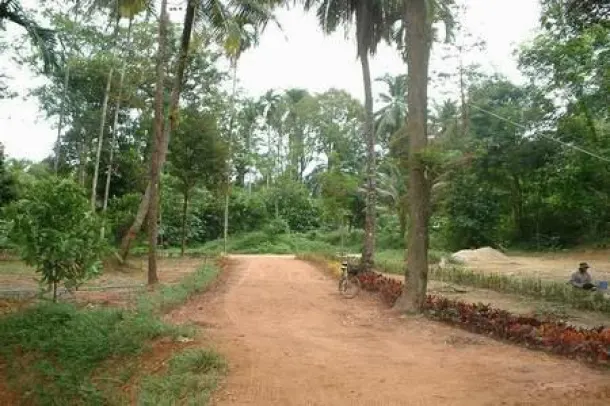 Fire Sale of 45 Rai Land Plot Just North of Khao Lak 3