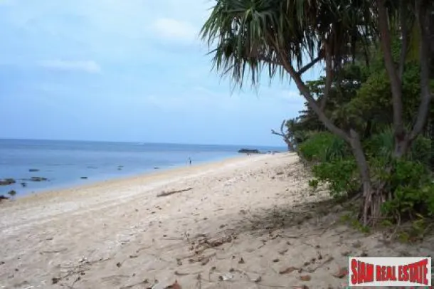 100m Sea View Land - Only 5 Rai! 2