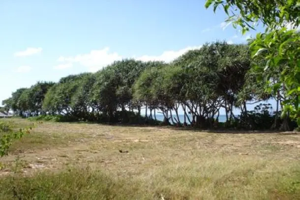 Own Your Own Beach - 83 Rai Beachfront and Sloping Land Plot, Koh Lanta Krabi 4