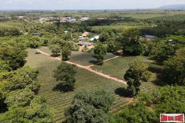 7 Rai (11,200 m2) Land in Mai Khao for Sale with Spectacular Views and Gentle Slope - Sub-Division Possible 2 to 7 Rai 4