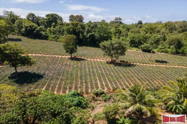 Land for sale in Mai Khao — Land · Mai Khao