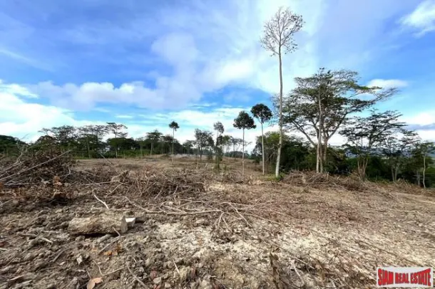 18.5 rai of rubber plantation land is for sale with fantastic sea views in Takua Thung, Phang Nga. 3