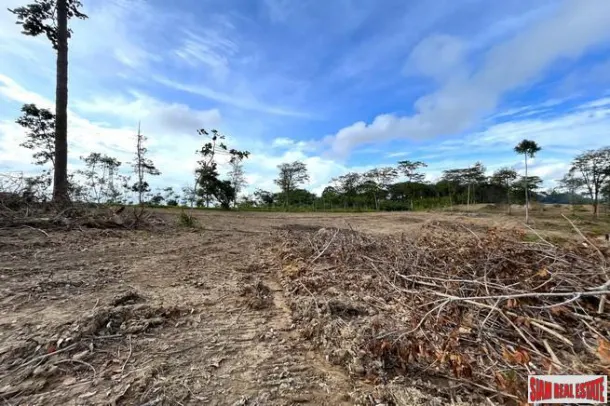 18.5 rai of rubber plantation land is for sale with fantastic sea views in Takua Thung, Phang Nga. 2