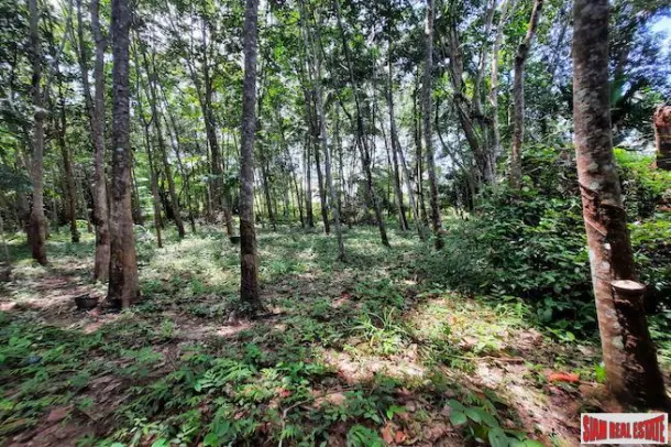 Over Two Rai of Krabi Land with House and Rubber Plantation and Great Sea Views of Thalen Bay for Sale 3