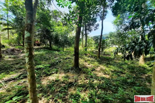 Over Two Rai of Krabi Land with House and Rubber Plantation and Great Sea Views of Thalen Bay for Sale 4