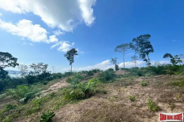 1 rai of palm plantation land with a hillside sea and mountain view for sale in Takua Thung, Phang Nga. 3