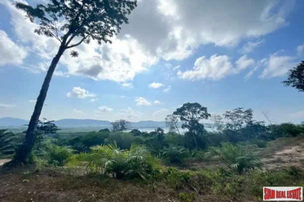 1 rai of palm plantation land with a hillside sea and mountain view for sale in Takua Thung, Phang Nga. 4