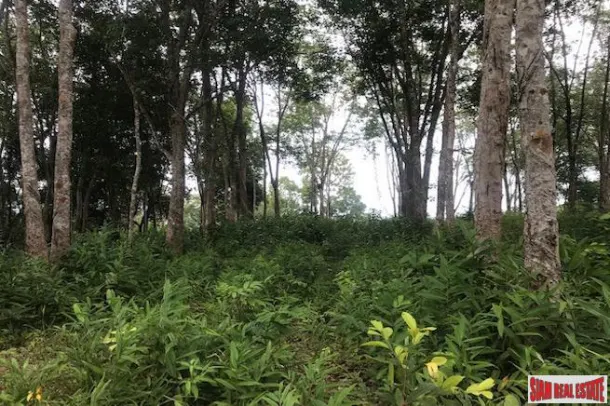 Large Hillside Land Plot with Sea Views of the Andaman East Coast in Koh Kaew 3