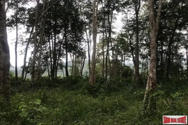 Large Hillside Land Plot with Sea Views of the Andaman East Coast in Koh Kaew 4
