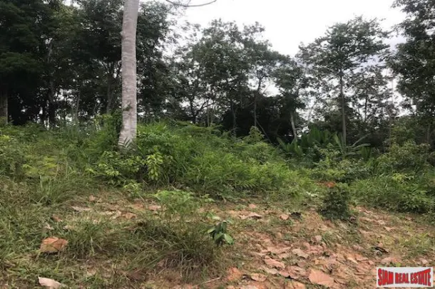 Large Hillside Land Plot with Sea Views of the Andaman East Coast in Koh Kaew 2