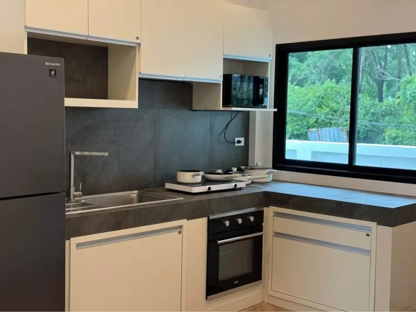 Modern 3-Bedroom, 2-Bathroom Villa with Private Garden for Rent 2