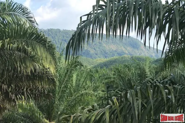 Land for sale in Phang Nga — Land · Phang Nga