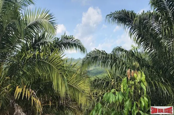 Lush Tropical Land Plot with Gentle Slope in Takua Thung, Phang Nga 3