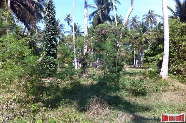 Large Land Plot only 300m to the Beach for Sale in Taling Ngam, Samui 4