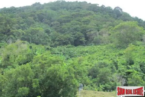 6+ Rai Sea View Land above Karon with views to Karon and Kata Noi beaches 4