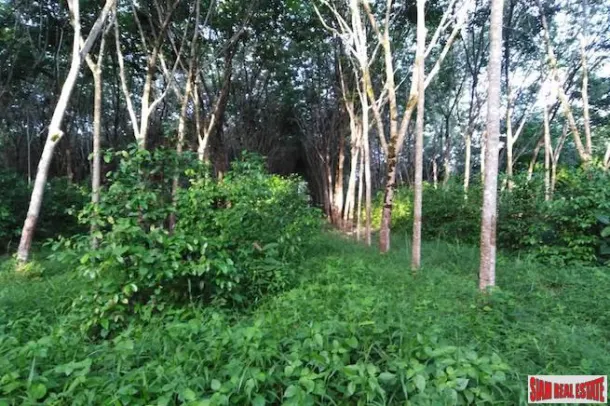 Lush Tropical 13 Rai Rubber Plantation Near Waterfall and Beach in Phang Nga 3