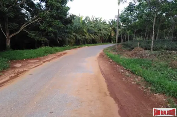 Lush Tropical 13 Rai Rubber Plantation Near Waterfall and Beach in Phang Nga 4